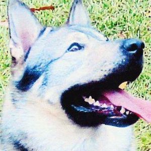 Meet your Posher, Laurent